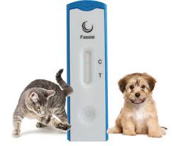 1516c7084c5550f6c839bfd648f23906 Giardia test