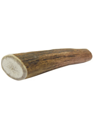 Edelhert gewei maat S