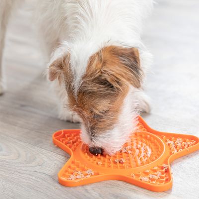 b7186fe6b9116d146f22a80d53d59e7b Lik mat ster siliconen oranje 23,5 cm