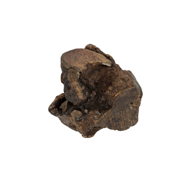 Kauwwortel met olijfolie XL 751-1000 gram