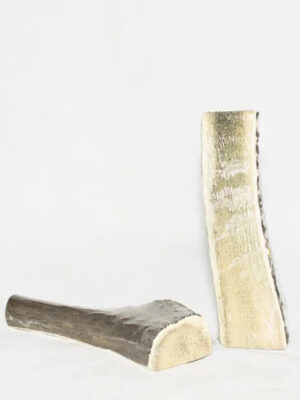 Edelhert gewei L half 18 cm