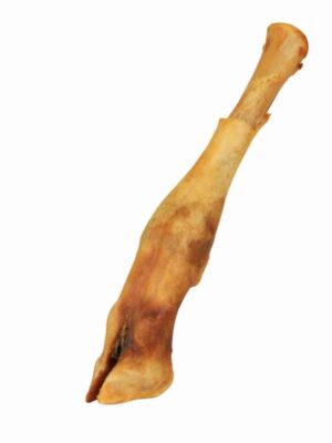 f92dfc6aefc05ca81b60c3682365553d Schapenonderbeen