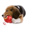 Nylabone sterke rubberen cone baconsmaak