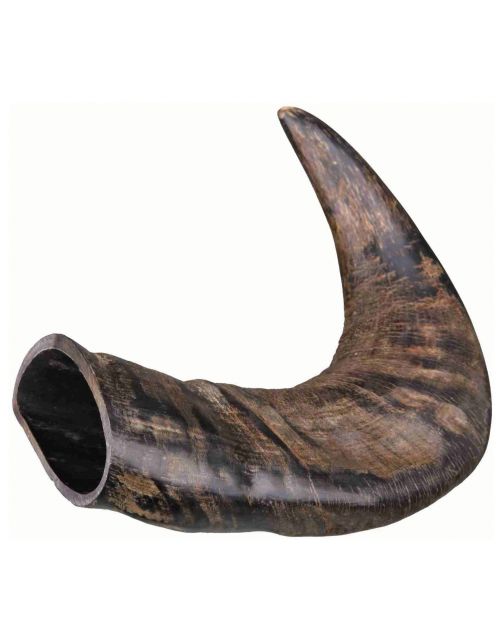 895c61b79ea04bc61910d62007fe084d Buffelhoorn middel