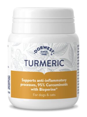 Kurkuma Dorwest voor kat en hond pot 100 stuks