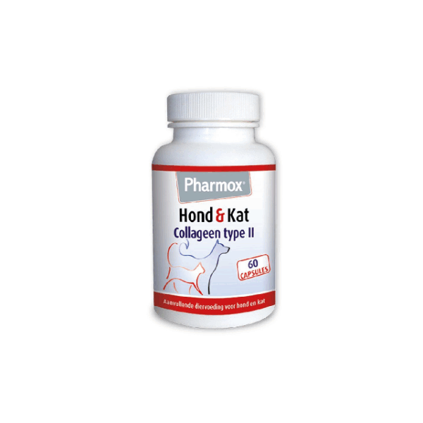 Pharmox collageen type 2 is goed omdat het de gewrichtsgezondheid ondersteunt door de opbouw van kraakbeen en de botten te bevorderen, wat helpt bij soepele bewegingen. Het is samengesteld uit ongedenatureerd collageen type II, vitamine C en vitamine D, die samen bijdragen aan het behoud van soepele spieren, de calciumhuishouding en de vorming van collageen. Dit kan leiden tot verminderde stijfheid en verbeterde mobiliteit, vooral bij oudere dieren of dieren die veel bewegen.