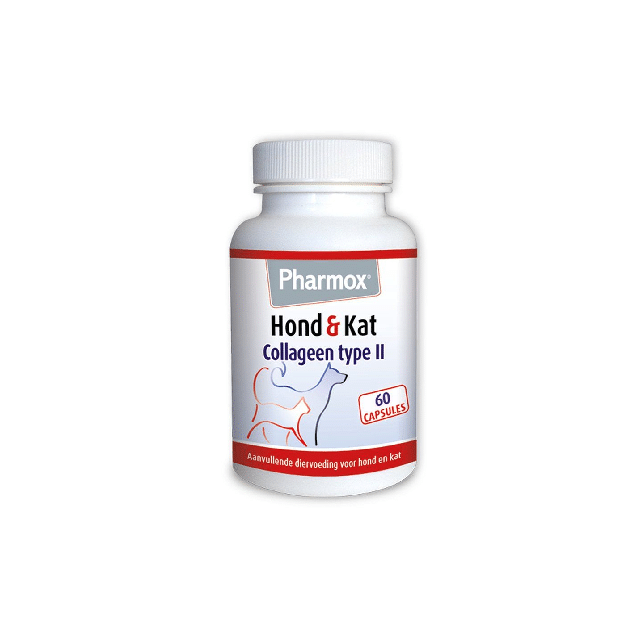 Pharmox collageen type 2 is goed omdat het de gewrichtsgezondheid ondersteunt door de opbouw van kraakbeen en de botten te bevorderen, wat helpt bij soepele bewegingen. Het is samengesteld uit ongedenatureerd collageen type II, vitamine C en vitamine D, die samen bijdragen aan het behoud van soepele spieren, de calciumhuishouding en de vorming van collageen. Dit kan leiden tot verminderde stijfheid en verbeterde mobiliteit, vooral bij oudere dieren of dieren die veel bewegen.