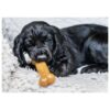 Nylabone Bacon maat S tot 11 kilo