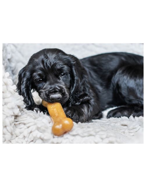 Nylabone Bacon maat S tot 11 kilo