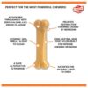 Nylabone Bacon maat S tot 11 kilo