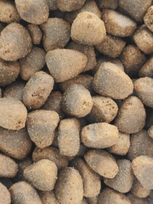 Vleesje krokante brok zoete aardappel Vis 1 of 15 kilo