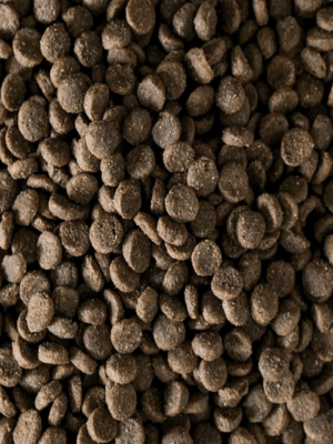 Vleesje krokante brok Puppy Verse Kip 1 of 15 kilo