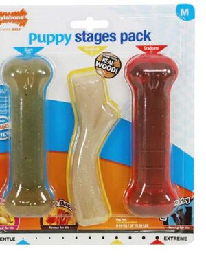 622807b69dbcb11b8ccd0f101d50c067 Nylabone Puppy Stages pack M