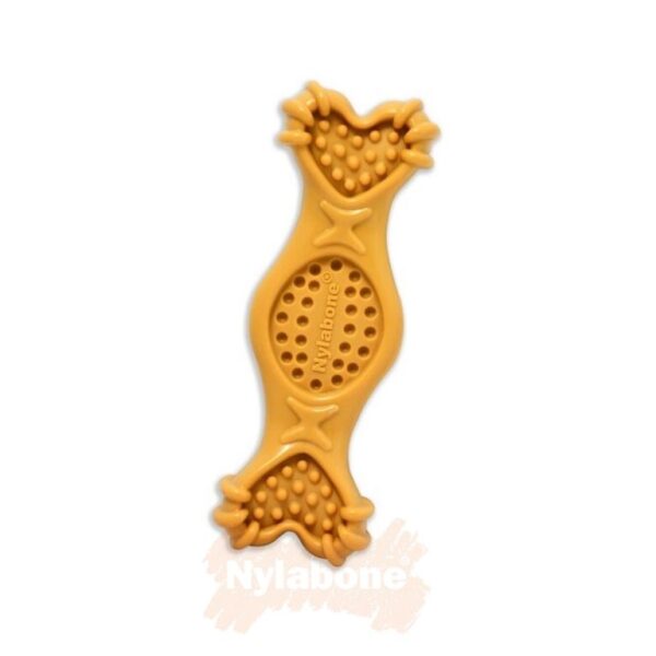 Nylabone Fill It Medium Peanut Butter