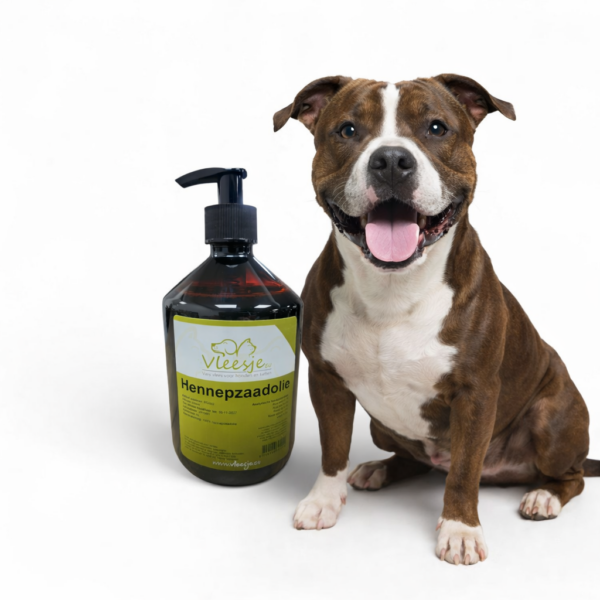 2bab01f96b8b4318c30bd1b775e6135e Koudgeperste hennepzaadolie is een 100% natuurlijke voedingssupplement voor honden, katten en paarden. Rijk aan omega 3, omega 6 en GLA ondersteunt het een gezonde huid, glanzende vacht en sterk immuunsysteem. Ideaal bij jeuk, verharen en huidgevoeligheid. Eenvoudig te mengen door brok, KVV of BARF en zuinig in gebruik.