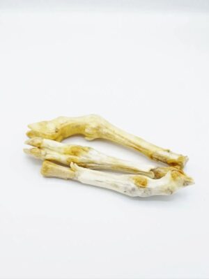 772e70543db9170df0bab210f1790c3c Lamspoot per stuk