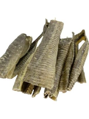 7ad2767a06d888345e18c31292831535 🐾 Kabeljauwhuid Zak 100 gram – 100% Natuurlijke Vis-Hondensnack Laat jouw hond genieten van een superlekkere, natuurlijke kauwsnack: de Kabeljauwhuid! De Kabeljauwhuid is een gezonde traktatie van 100% gedroogde kabeljauw-huid en is rijk aan hoogwaardige eiwitten en natuurlijke omega-3 vetzuren — ideaal als tussendoortje, beloning of smakelijke snack na een lange wandeling. 🐶 Waarom kiezen voor kabeljauwhuid snacks? ✅ 100% puur natuurlijk – Geen kunstmatige kleur-, geur- of smaakstoffen of conserveringsmiddelen. Kabeljauwhuid Vleesje is daarbij een uitstekende keuze voor een natuurlijke traktatie. ✅ Krokant en smakelijk – Honden zijn dol op de knapperige structuur die zorgt voor uren kauwplezier. Geef ook af en toe een Kabeljauwhuid Vleesje voor extra beleving tijdens het kauwen. ✅ Rijk aan eiwitten en omega-3 – Draagt bij aan een gezonde huid, glanzende vacht en sterke spieren. Met Kabeljauwhuid Vleesje krijgt je hond een extra bron van eiwit en vis. ✅ Hypoallergeen & graanvrij – Zeer geschikt voor honden met gevoelige magen of voedselallergieën. Kabeljauwhuid Vleesje is tevens hypoallergeen en dus een verantwoorde keuze. 🦷 Goed voor tanden en gedrag Het knapperige karakter van kabeljauwhuid stimuleert kauwgedrag, wat kan helpen bij het verminderen van tandplak en tegelijkertijd zorgt voor mentale bezigheid — een win-win situatie voor hond én baas! Niet te vergeten, ook draagt het bij aan goede tandgezondheid. 🐕 Geschikt voor alle honden Of je hond groot, klein, jong of ouder is, deze kabeljauwhuid snack past perfect in het dagelijkse belonings- of snackmomentje. Als je hond gevoelig reageert op andere eiwitbronnen zoals kip of rund, is deze visbasis een smakelijk en verantwoorde keuze. Bovendien is kabeljauwhuid het perfecte visje voor iedere hond. Samenstelling: 100% Kabeljauw. Analyse: Ruw eiwit 80,9%, Ruw vet 3,3%, Ruwe As 8,0%, Ruwe Celstof 0,3%, Vocht 7,5%. Ook voor Kabeljauwhuid Vleesje geldt deze hoogwaardige samenstelling.