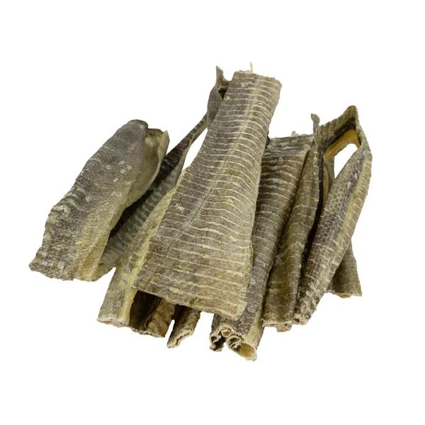 7ad2767a06d888345e18c31292831535 🐾 Kabeljauwhuid Zak 100 gram – 100% Natuurlijke Vis-Hondensnack Laat jouw hond genieten van een superlekkere, natuurlijke kauwsnack: de Kabeljauwhuid! De Kabeljauwhuid is een gezonde traktatie van 100% gedroogde kabeljauw-huid en is rijk aan hoogwaardige eiwitten en natuurlijke omega-3 vetzuren — ideaal als tussendoortje, beloning of smakelijke snack na een lange wandeling. 🐶 Waarom kiezen voor kabeljauwhuid snacks? ✅ 100% puur natuurlijk – Geen kunstmatige kleur-, geur- of smaakstoffen of conserveringsmiddelen. Kabeljauwhuid Vleesje is daarbij een uitstekende keuze voor een natuurlijke traktatie. ✅ Krokant en smakelijk – Honden zijn dol op de knapperige structuur die zorgt voor uren kauwplezier. Geef ook af en toe een Kabeljauwhuid Vleesje voor extra beleving tijdens het kauwen. ✅ Rijk aan eiwitten en omega-3 – Draagt bij aan een gezonde huid, glanzende vacht en sterke spieren. Met Kabeljauwhuid Vleesje krijgt je hond een extra bron van eiwit en vis. ✅ Hypoallergeen & graanvrij – Zeer geschikt voor honden met gevoelige magen of voedselallergieën. Kabeljauwhuid Vleesje is tevens hypoallergeen en dus een verantwoorde keuze. 🦷 Goed voor tanden en gedrag Het knapperige karakter van kabeljauwhuid stimuleert kauwgedrag, wat kan helpen bij het verminderen van tandplak en tegelijkertijd zorgt voor mentale bezigheid — een win-win situatie voor hond én baas! Niet te vergeten, ook draagt het bij aan goede tandgezondheid. 🐕 Geschikt voor alle honden Of je hond groot, klein, jong of ouder is, deze kabeljauwhuid snack past perfect in het dagelijkse belonings- of snackmomentje. Als je hond gevoelig reageert op andere eiwitbronnen zoals kip of rund, is deze visbasis een smakelijk en verantwoorde keuze. Bovendien is kabeljauwhuid het perfecte visje voor iedere hond. Samenstelling: 100% Kabeljauw. Analyse: Ruw eiwit 80,9%, Ruw vet 3,3%, Ruwe As 8,0%, Ruwe Celstof 0,3%, Vocht 7,5%. Ook voor Kabeljauwhuid Vleesje geldt deze hoogwaardige samenstelling.