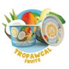 03e5e02e04b8bb3ce7223748ae26d80e Woofelicious Tropawcal Fruits Kokosnoot hondenijs