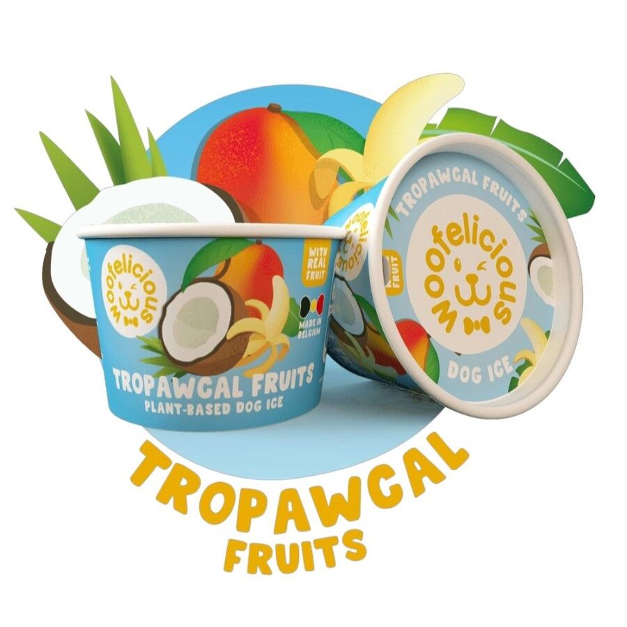 03e5e02e04b8bb3ce7223748ae26d80e Woofelicious Tropawcal Fruits Kokosnoot hondenijs