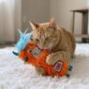 Kong kat kickeroo highland cow assortie