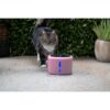 799eee2846cd79a4c472b2fcffc3c7d1 Boon drinkfontein aquabella pink 2,5 liter
