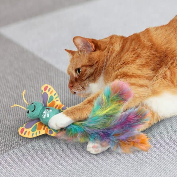 99f07579519c5564cc529fcaf639eb58 Kong kat cat wubba butterfly