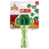 da4ca18fc19eb915ca9b688ed7584fd7 Nylabone giant broccoli bacon & cheese maat L