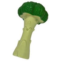 f1087164cd4a6d5ede81b9726cab6291 Nylabone giant broccoli bacon & cheese maat L