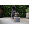 Boon drinkfontein aquabella cappuccino 2,5 liter
